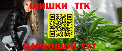 СК Краснознаменск