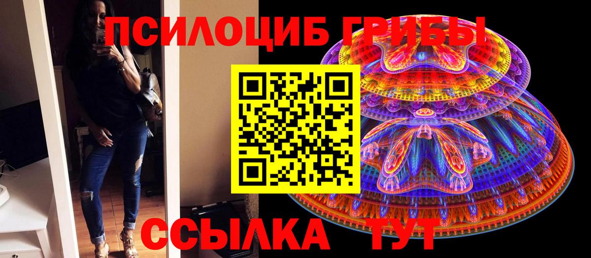 Псилоцибиновые грибы Psilocybe Каменск-Уральский