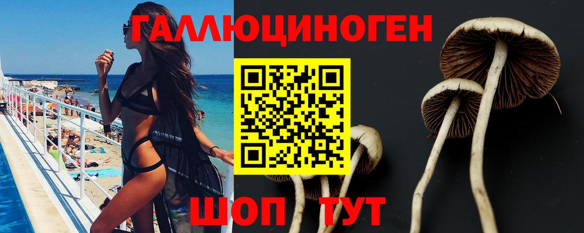 Каменск-Уральский  Галлюциногенные грибы Psilocybe  Галлюциногенные грибы прущие грибы  Вход с VPN 